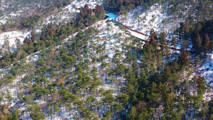 台州市黄岩大寺基林场雪景，大寺基万福寺