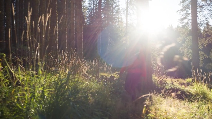 一个快乐的女人在充满活力的阳光的森林小径上徒步旅行