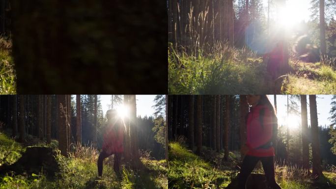 一个快乐的女人在充满活力的阳光的森林小径上徒步旅行
