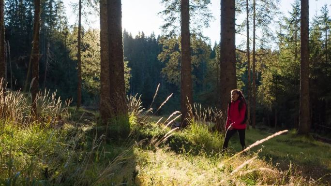 运动活跃的妇女在大自然中穿过绿色森林散步