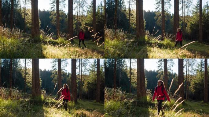 运动活跃的妇女在大自然中穿过绿色森林散步
