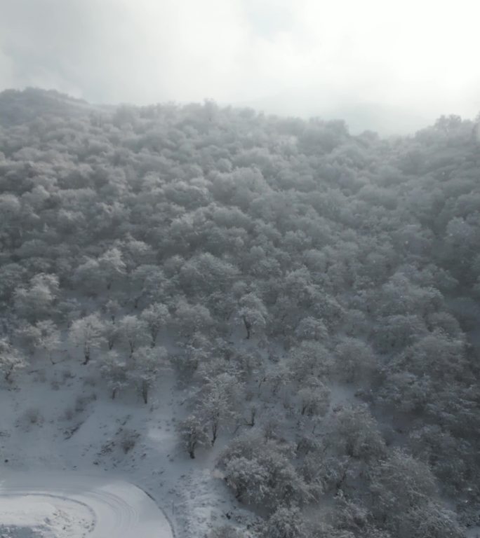 四川阿坝茂县太子岭滑雪场风景竖屏航拍