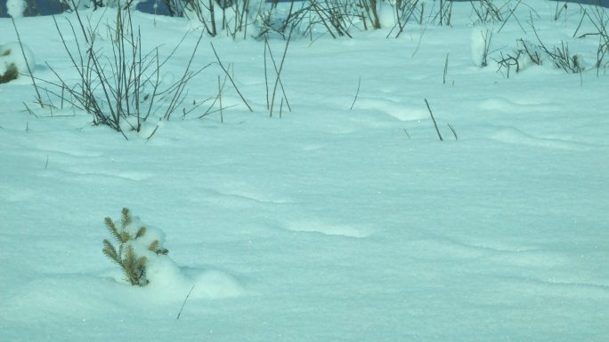 四川阿坝茂县九鼎山太子岭滑雪场风景