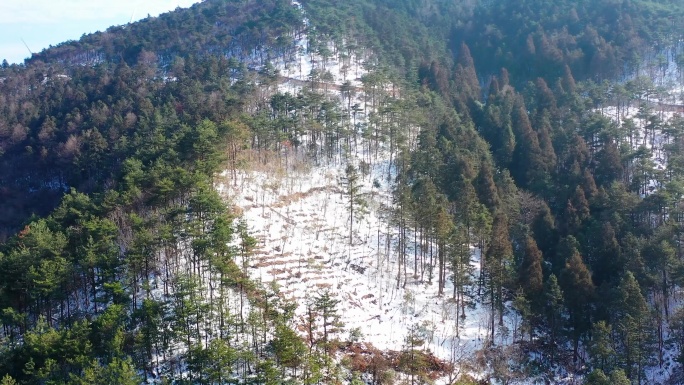 台州市黄岩大寺基林场雪景，大寺基万福寺