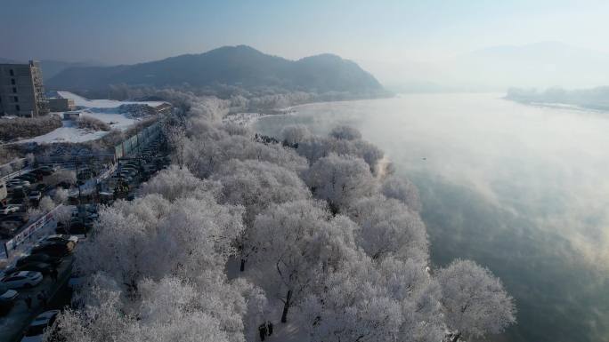 吉林雾凇树挂自然奇观冬季松花江风光航拍