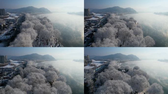 吉林雾凇树挂自然奇观冬季松花江风光航拍