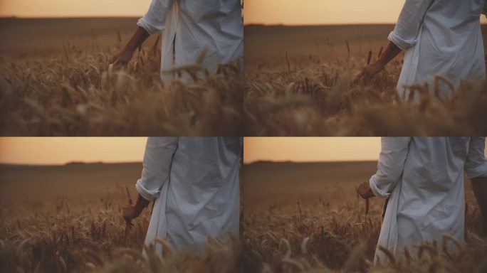 在迷人的日落中，农场里抚摸金色小麦的女人