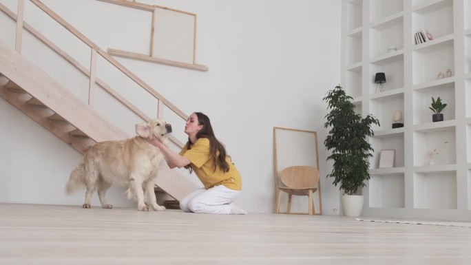 年轻女子和她的纯种拉布拉多猎犬在家里玩得很开心