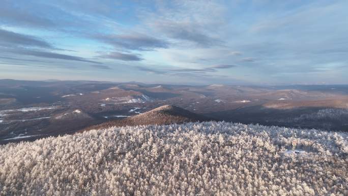 大兴安岭冬季黄昏林海雪原