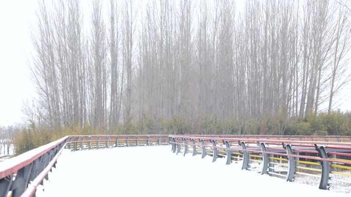 大雪在冬天慢慢落下