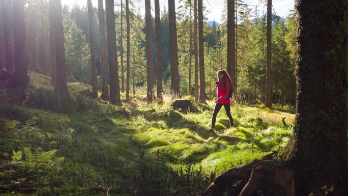 女人在森林里徒步旅行，周围是令人难以置信的郁郁葱葱的绿色风景