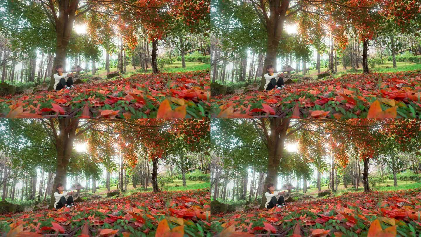 秋天，一位年长的亚洲妇女坐在枫树下休息。