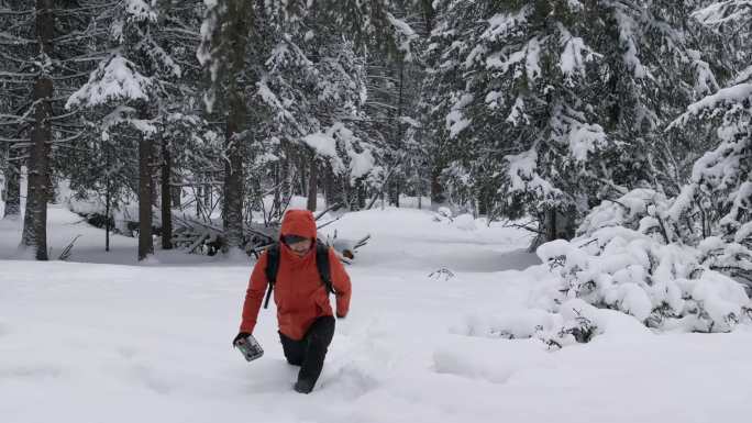 航拍男人走在新疆喀纳斯大雪覆盖的森林中