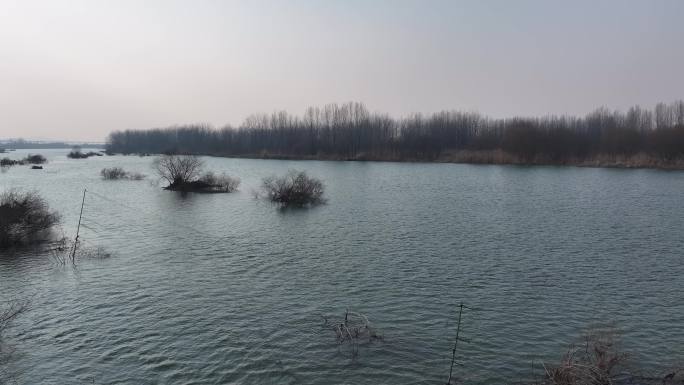 航拍襄阳汉江国家湿地公园非法盗猎粘鸟网