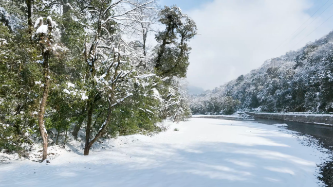 唯美雪景大气原始森林山谷溪流冰雪世界