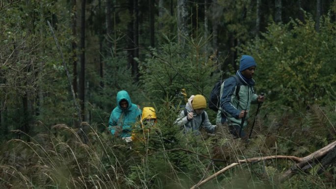 不同种类的游客手持登山杖在森林中行走