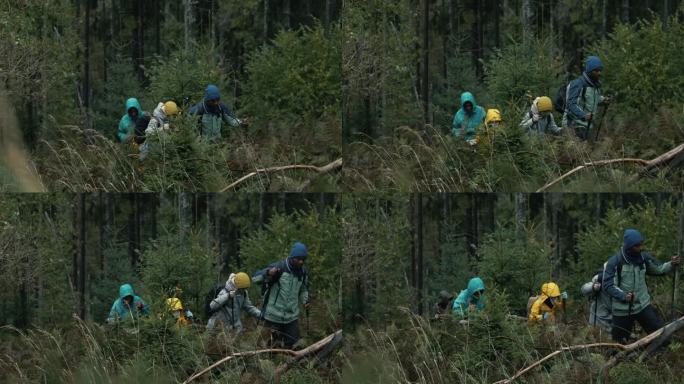 不同种类的游客手持登山杖在森林中行走