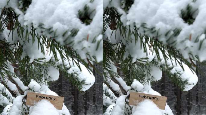 2月的木牌竖在白雪覆盖的松树上