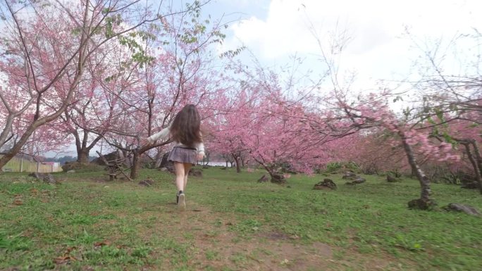 可爱的亚洲女孩在樱桃树下奔跑