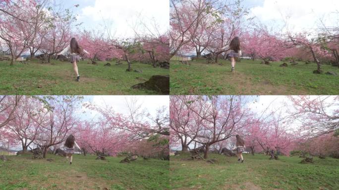 可爱的亚洲女孩在樱桃树下奔跑