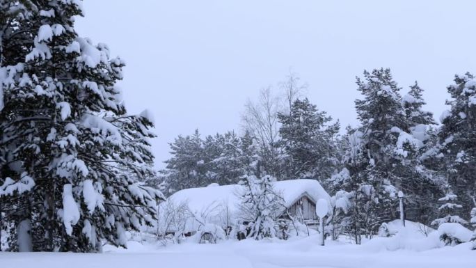 森林农场下大雪