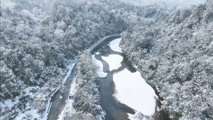 唯美雪景大气原始森林山谷溪流冰雪世界