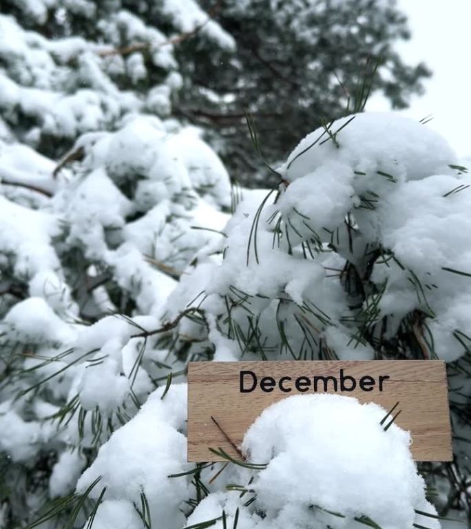 12月的木牌竖在白雪覆盖的松树上