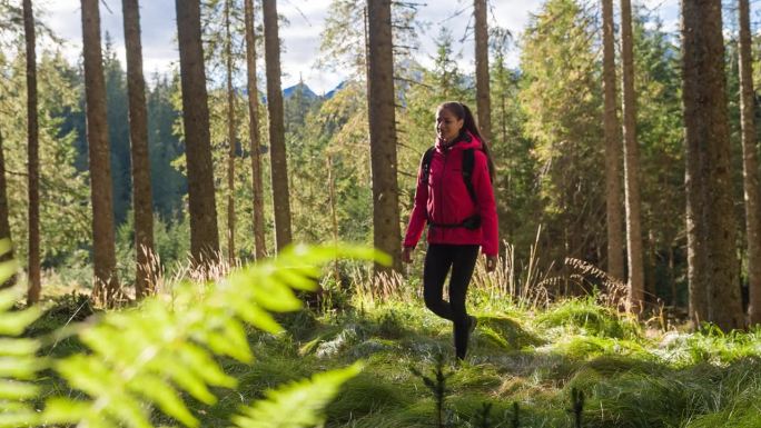 一个快乐的女人在夏天在充满活力的绿色阳光下的森林小径上徒步旅行