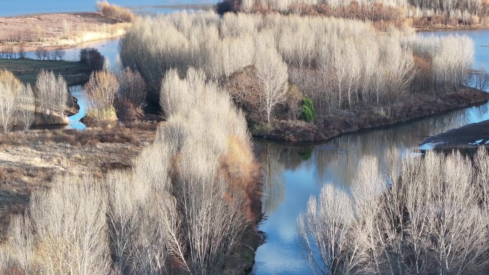 冬日的剑湖湿地风景