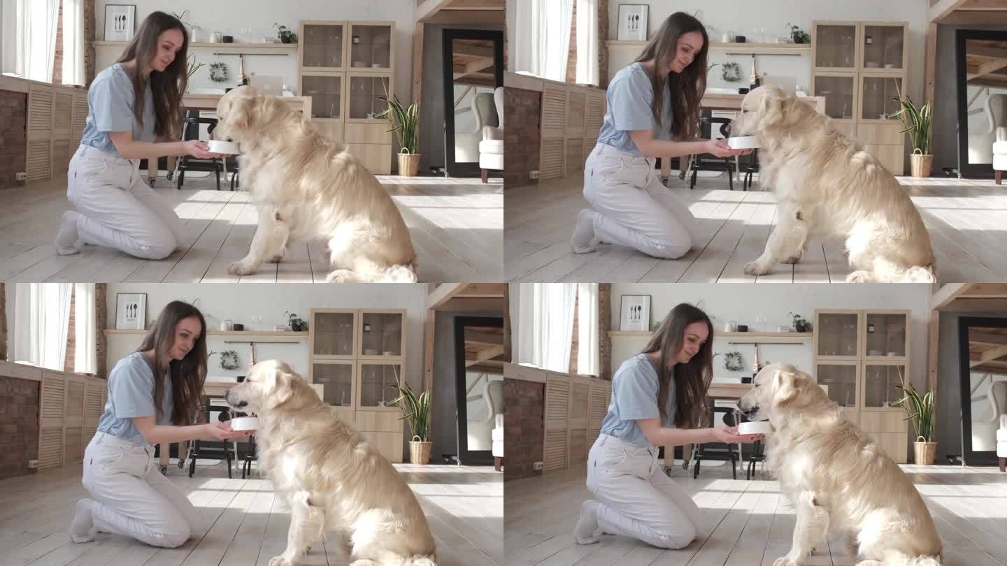年轻女子和她的纯种拉布拉多猎犬在家里玩得很开心