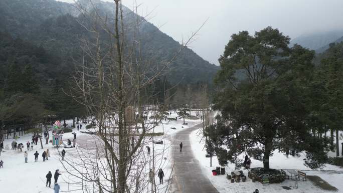 南方雪景