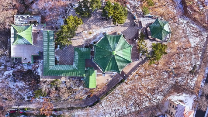 青岛喜迎降雪小鱼山-1