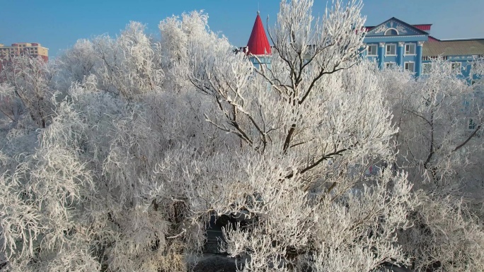 吉林雾凇树挂自然奇观冬季松花江风光航拍