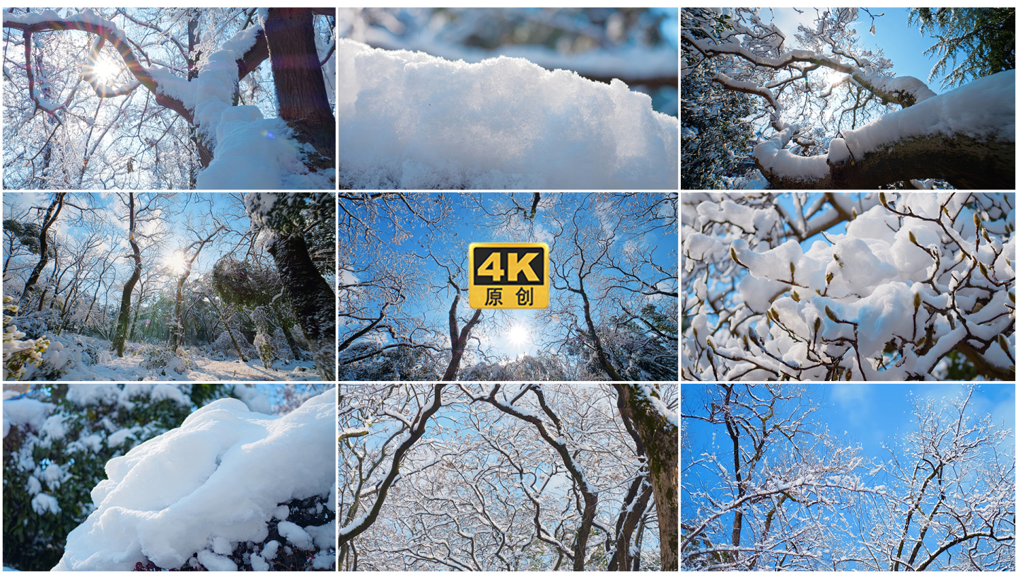 冬天树林雪景雾凇树林冰雪世界实拍