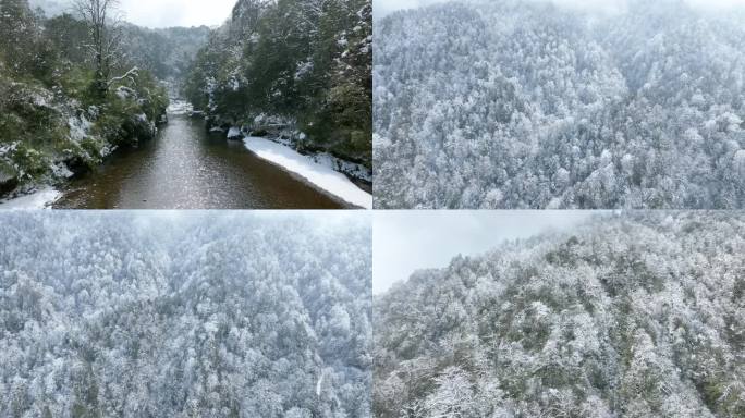 龙苍沟森林公园原始森林唯美大气雪景