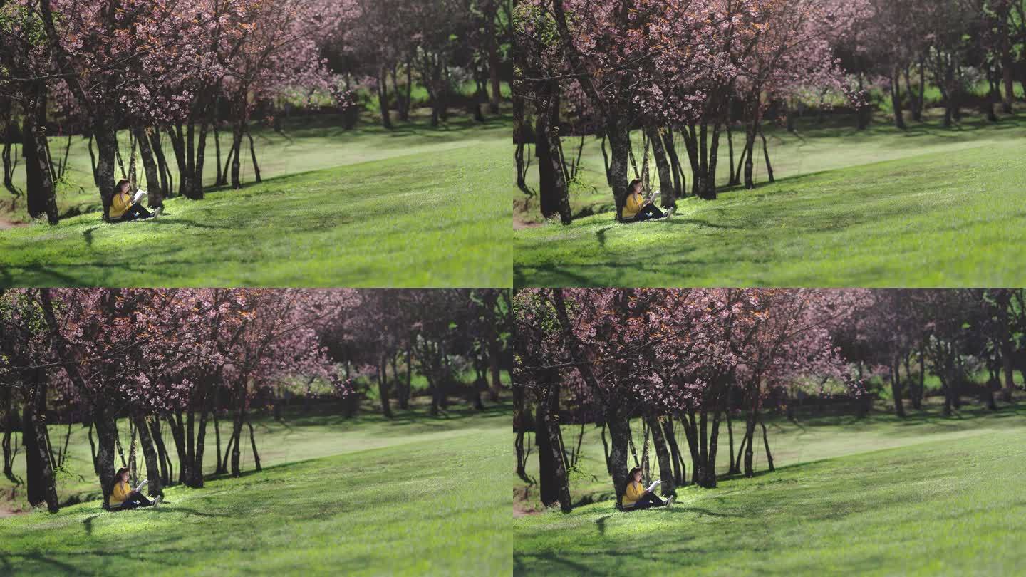 徒步旅行的女人坐在被绿树和大自然包围的樱花树下放松和看书