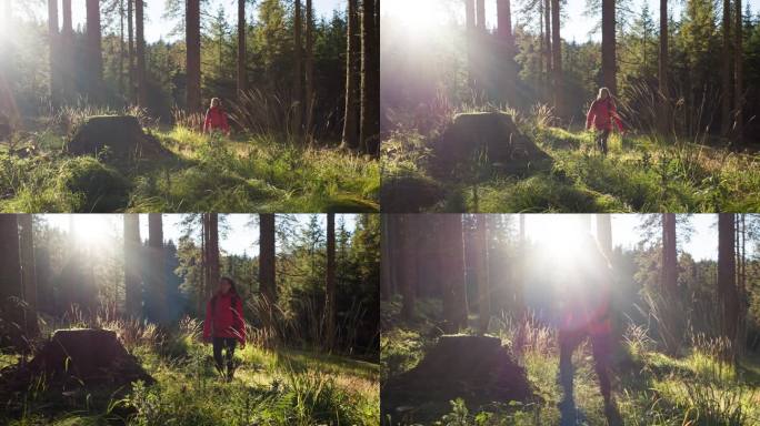 一个健康的女人在充满活力的阳光的森林小径上徒步旅行