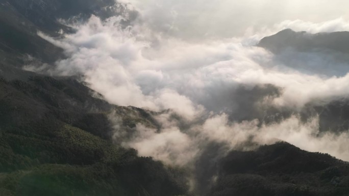 庐山含鄱口云海风光