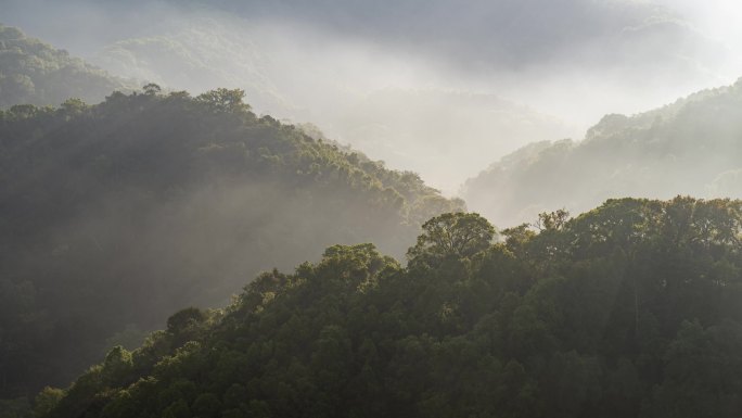 海南五指山热带雨林国家公园日出【精品】