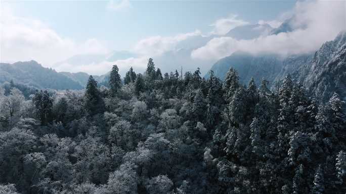 冬季刚下完雪后的雪山景象