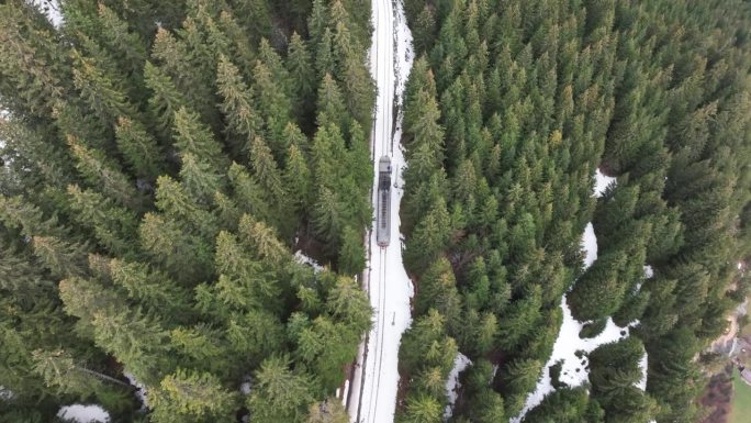 瑞士山地铁路，火车上山穿过常绿森林