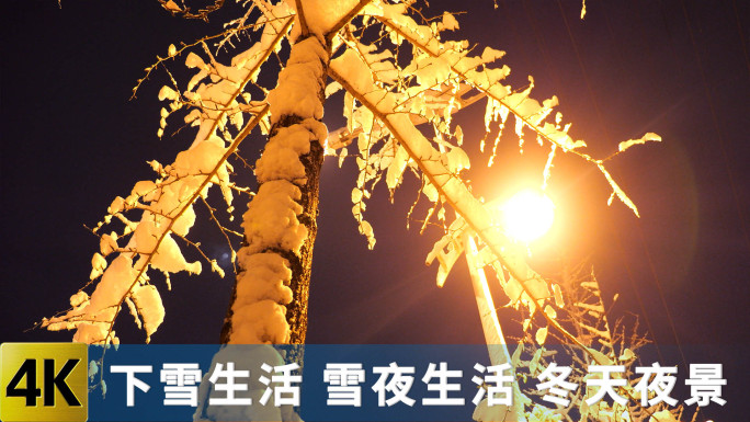 城市雪夜 路上行人 50帧