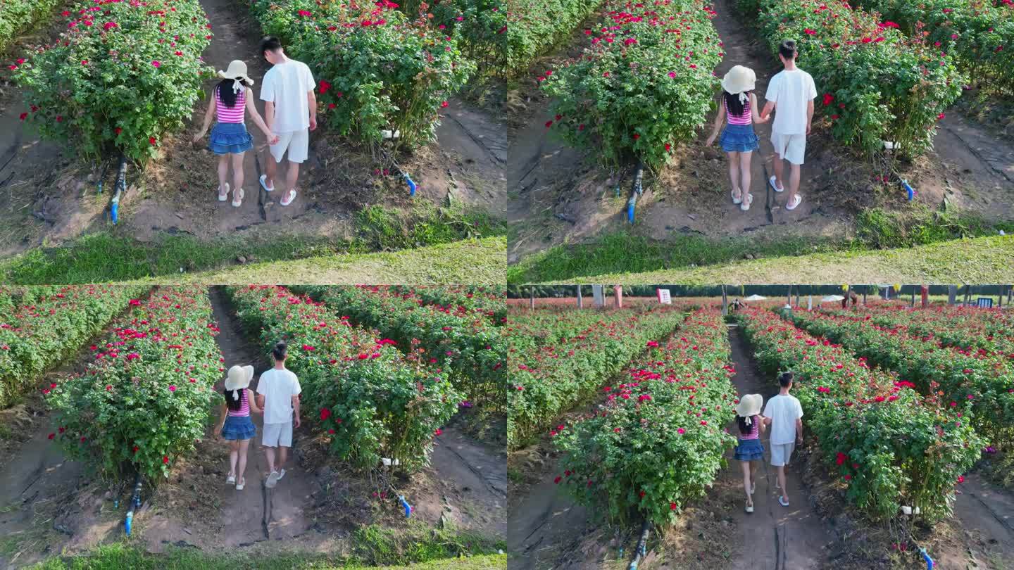 海南三亚博后村玫瑰谷的游玩拍照恩爱情侣