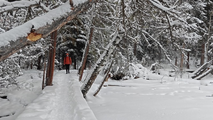摄影师走在新疆喀纳斯雪后的森林栈道上