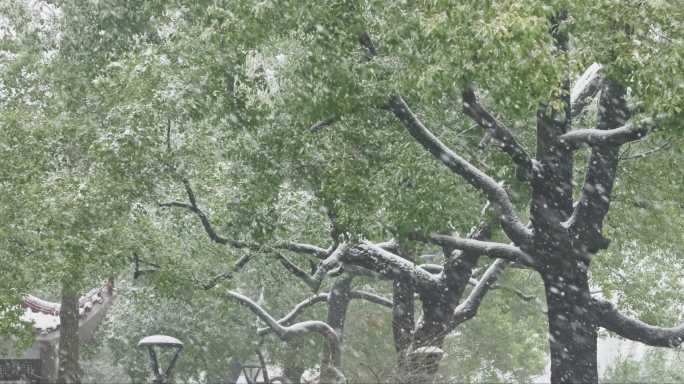 湖南长沙杜甫江阁雪景实拍