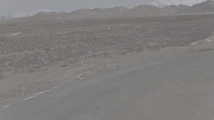 高原藏羚羊奔跑航拍