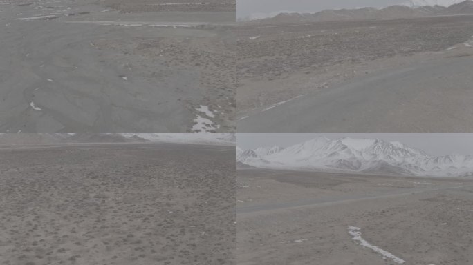 高原藏羚羊奔跑航拍