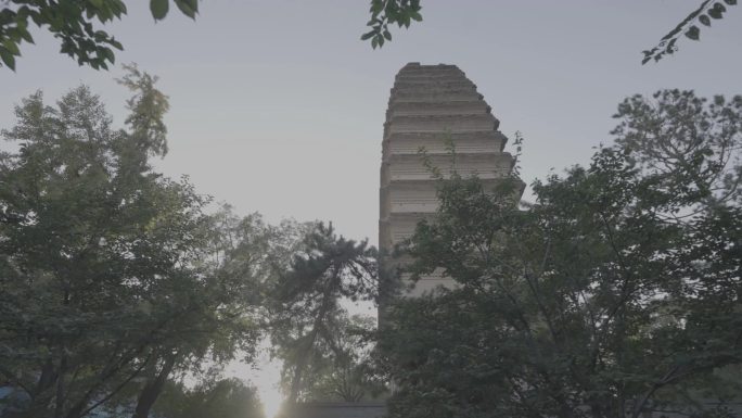 西安 小雁塔 历史 建筑 文化 旅游