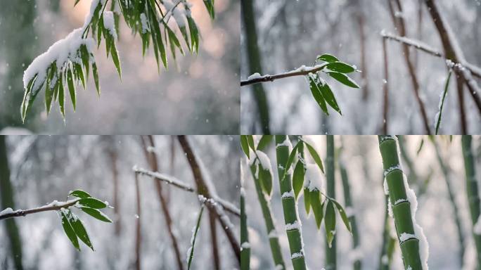 唯美-雪中的竹子 竹叶