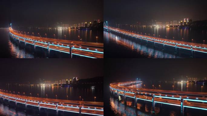 航拍跨海大桥夜景摩天轮动物园星海大桥